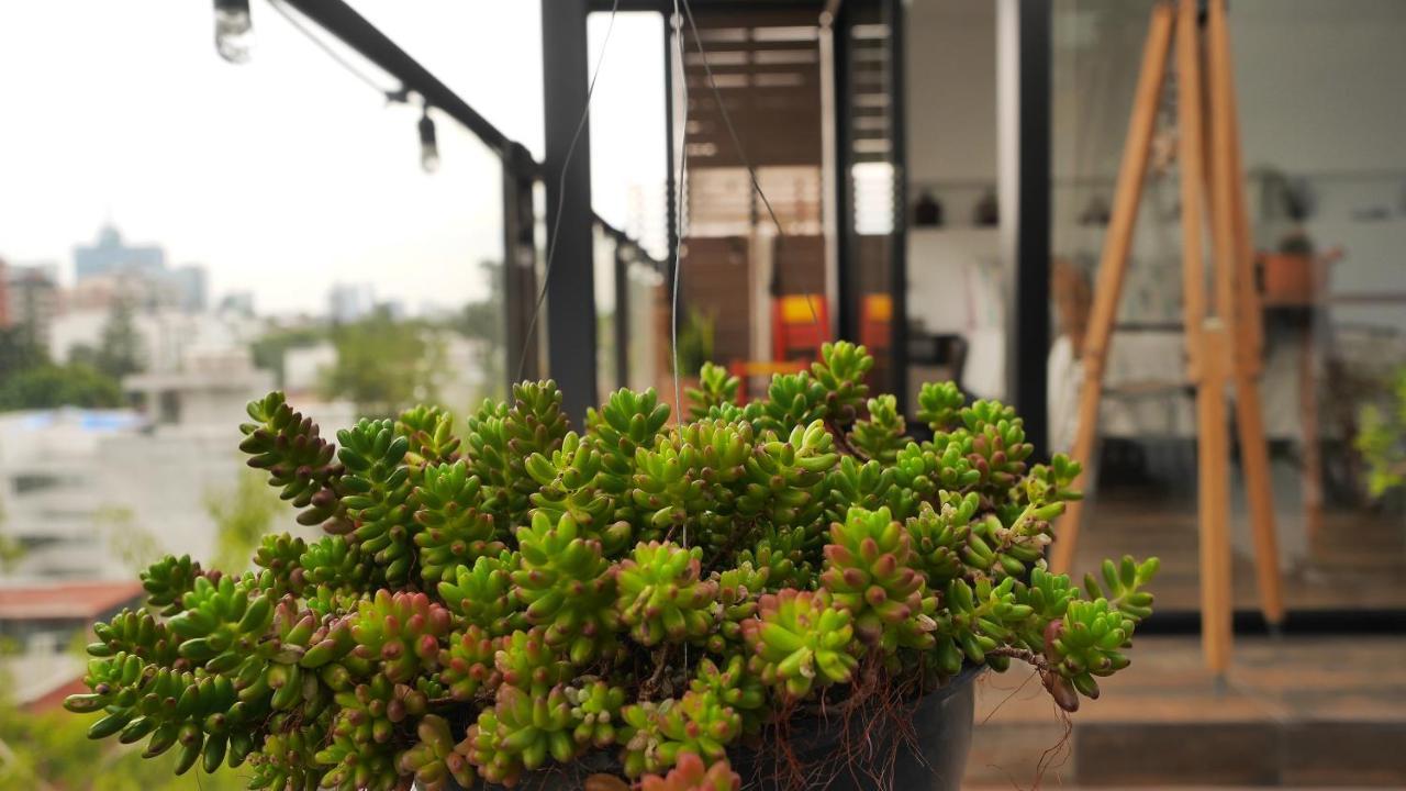 Loft Remedios - Penthouse Cdmx - Areas Comunes Compartidas Mexico City Exteriör bild