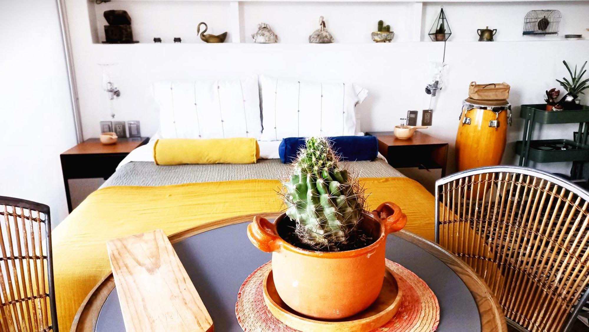 Loft Remedios - Penthouse Cdmx - Areas Comunes Compartidas Mexico City Exteriör bild